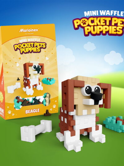 Mini Waffle - Pocket Pets Puppies - Beagle