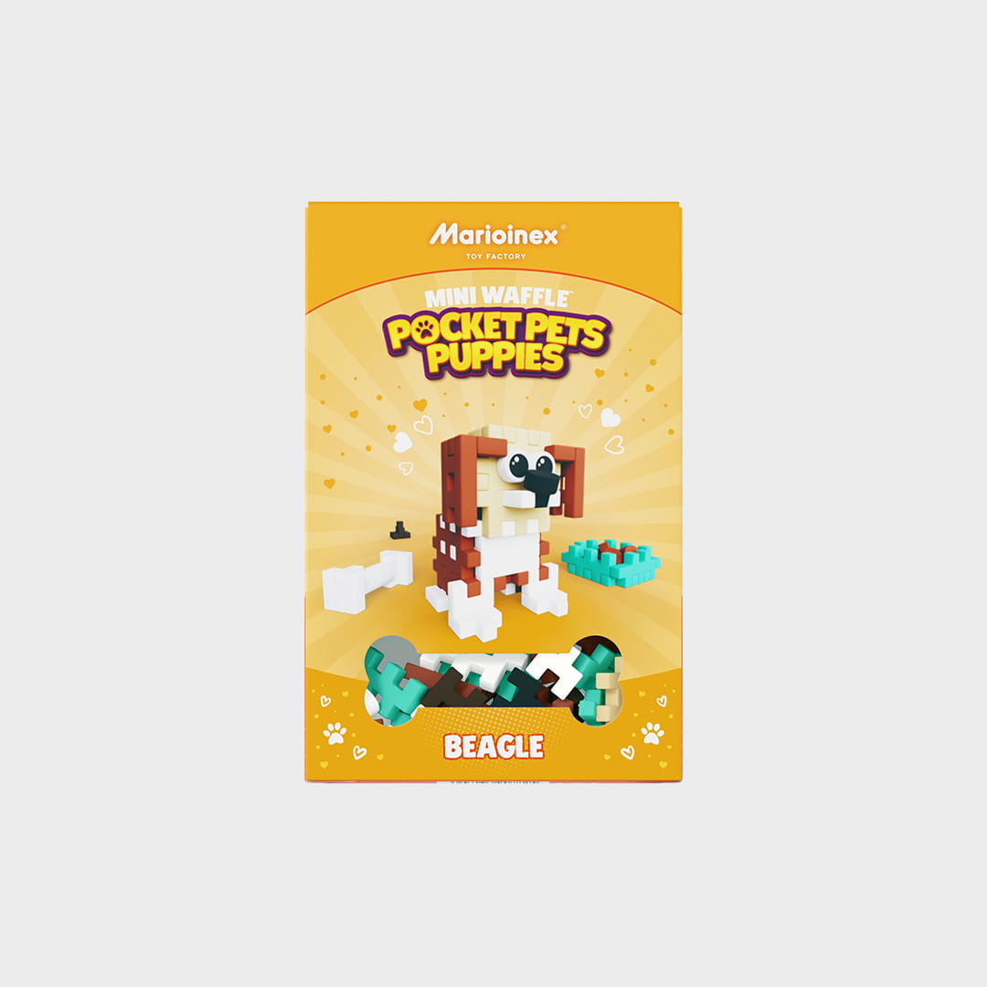 Mini Waffle - Pocket Pets Puppies - Beagle - obrazek 3