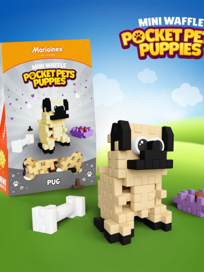 Mini Waffle - Pocket Pets Puppies - Mops