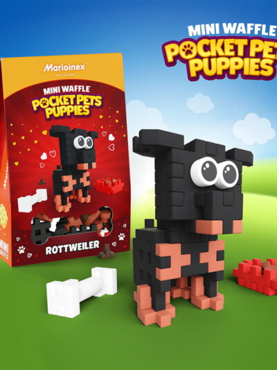 Mini Waffle - Pocket Pets Puppies - Rottweiler