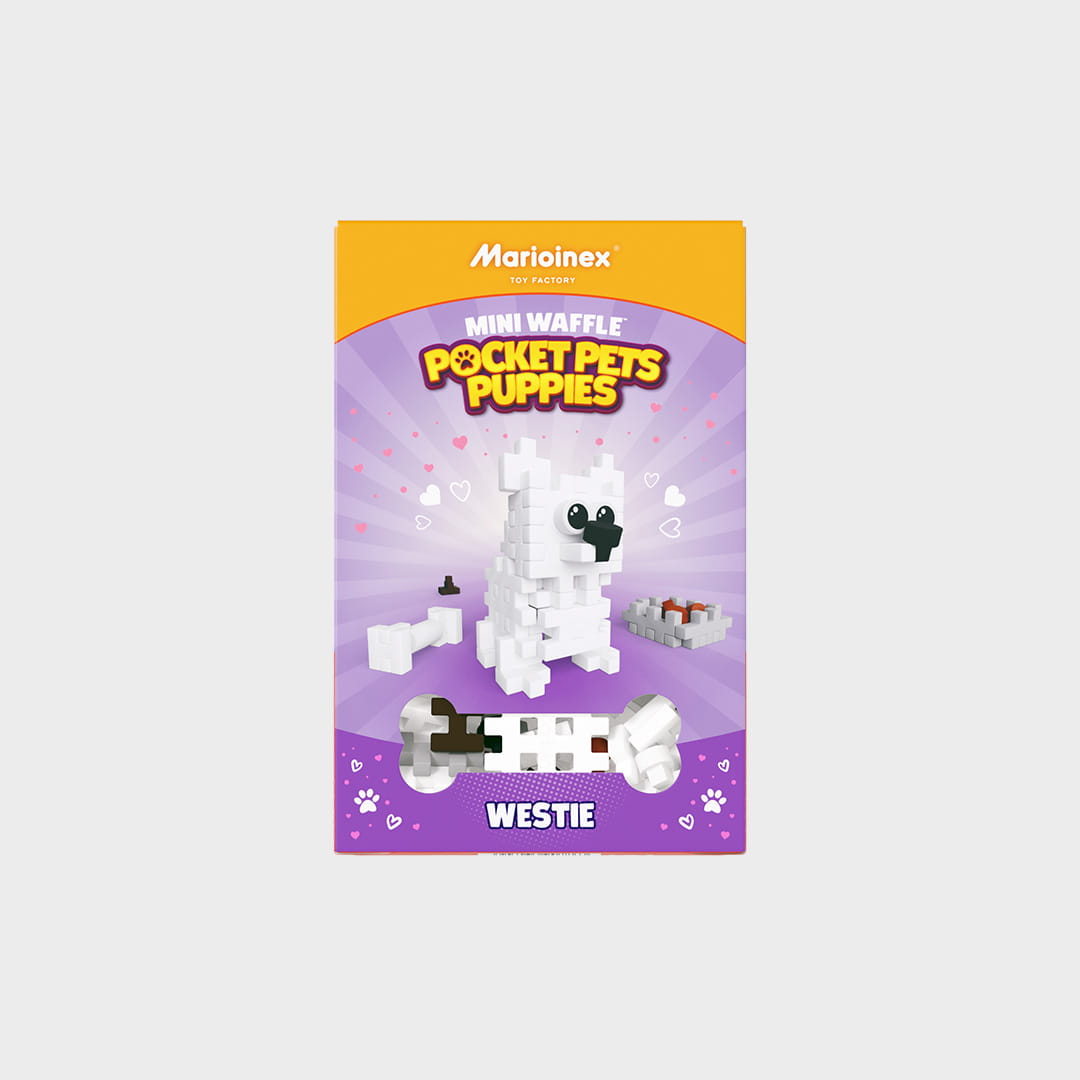 Mini Waffle - Pocket Pets Puppies - Westie - obrazek 3